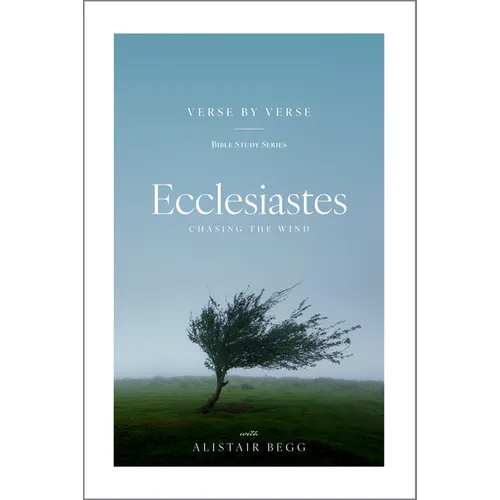Ecclesiastes: Chasing the Wind