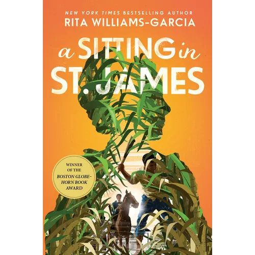 A Sitting in St. James - Paperback