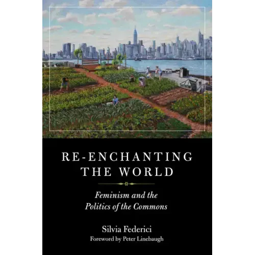Re-Enchanting the World: Feminism and the Politics of the Commons - Paperback