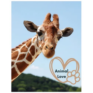 Animal Love: A picture book for Seniors with dementia or Alzheimer's patients. Cute photos of animals with uplifting quotes in large print. - Paperback