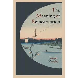 The Meaning of Reincarnation - Paperback