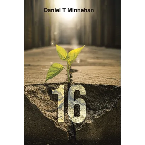 16 - Hardcover