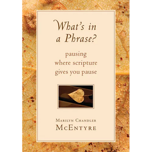 What's in a Phrase?: Pausing Where Scripture Gives You Pause - Paperback