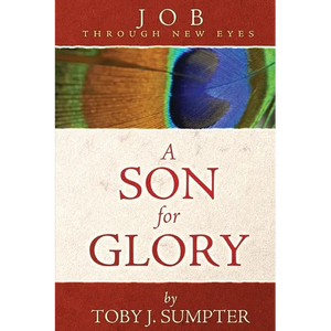 A Son for Glory: Job Through New Eyes - Paperback
