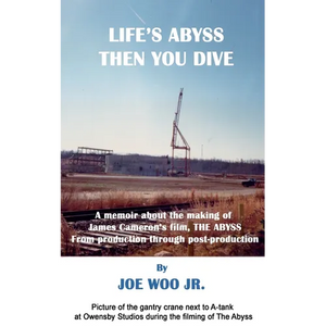 Life's Abyss Then You Dive - Paperback