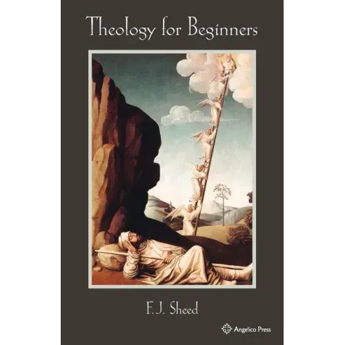 Theology for Beginners - Paperback