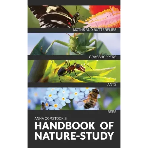 The Handbook Of Nature Study in Color - Insects - Hardcover