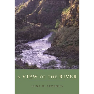A View of the River - Paperback