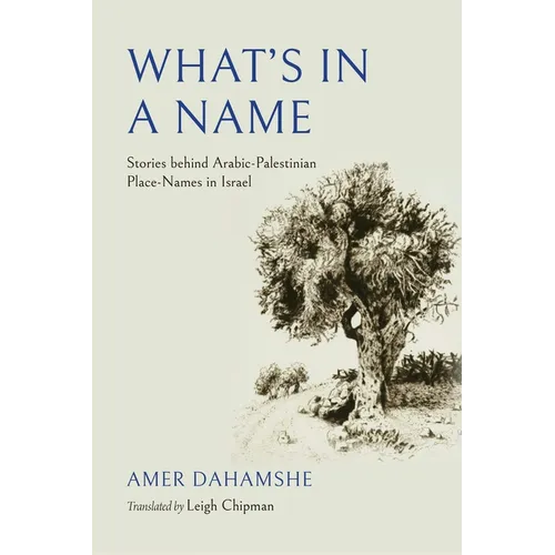 What's in a Name: Stories behind Arabic-Palestinian Place-Names in Israel - Hardcover