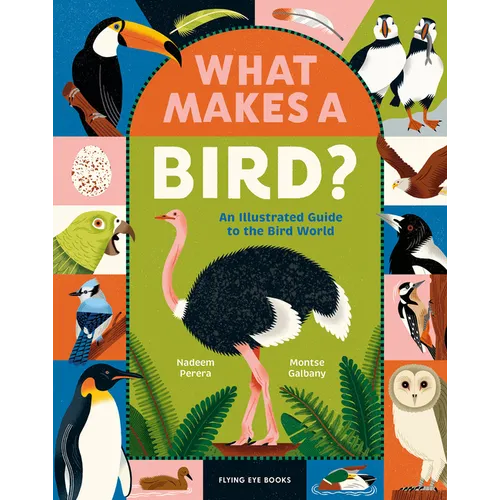 What Makes a Bird?: An Illustrated Guide to the Bird World - Hardcover