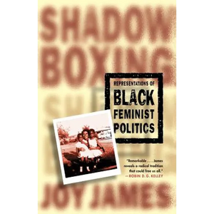 Shadowboxing: Representations of Black Feminist Politics - Paperback