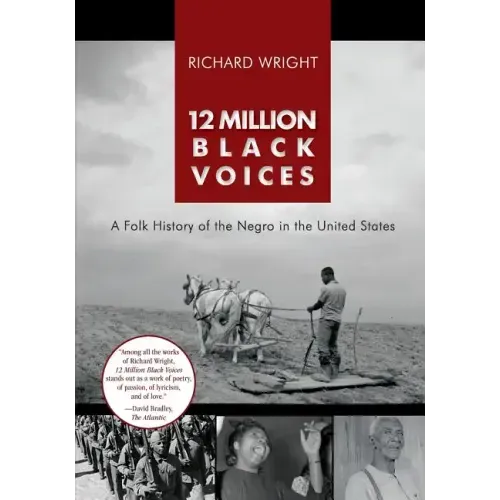 12 Million Black Voices - Paperback