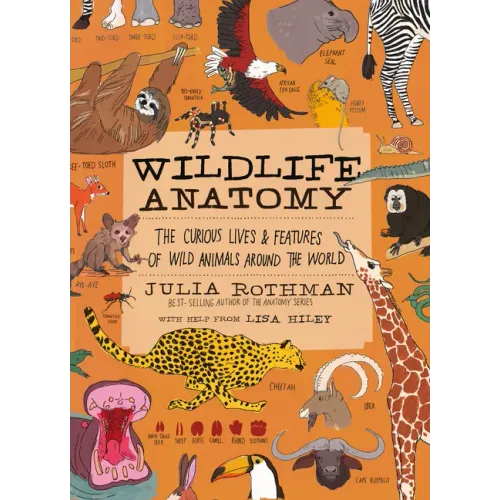 Wildlife Anatomy: The Curious Lives & Features of Wild Animals Around the World - Paperback
