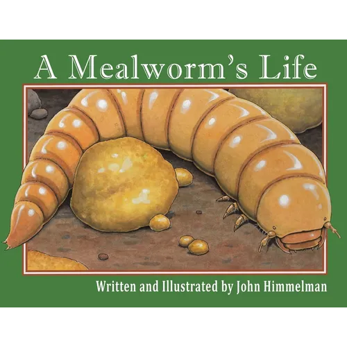 A Mealworm's Life - Paperback
