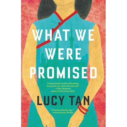 What We Were Promised - Paperback