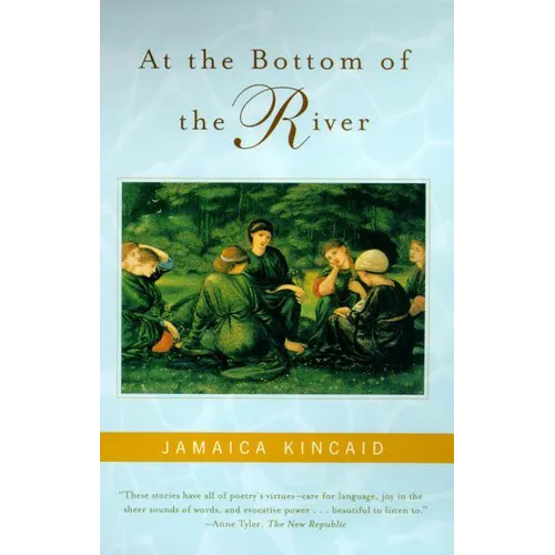 At the Bottom of the River - Paperback