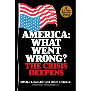 America: What Went Wrong? The Crisis Deepens - Paperback