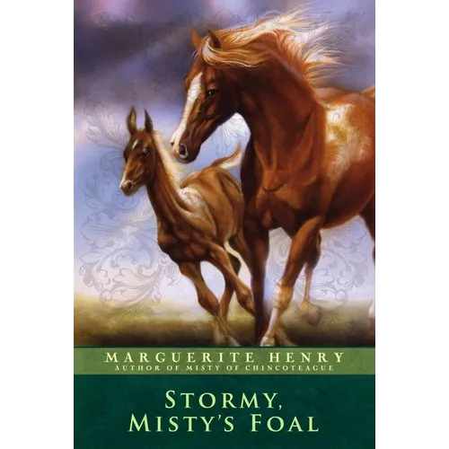 Stormy, Misty's Foal - Paperback