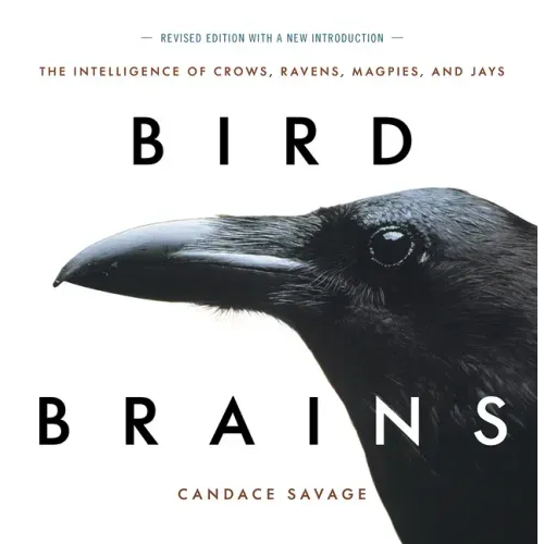 Bird Brains: The Intelligence of Crows, Ravens, Magpies, and Jays - Paperback