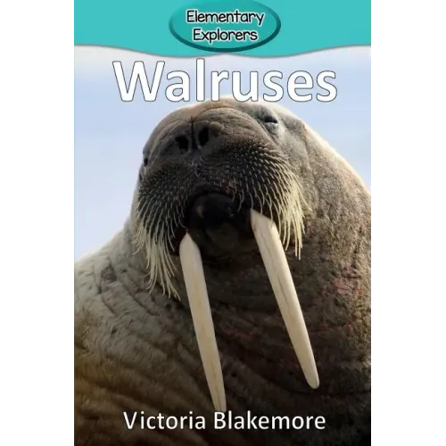 Walruses - Paperback