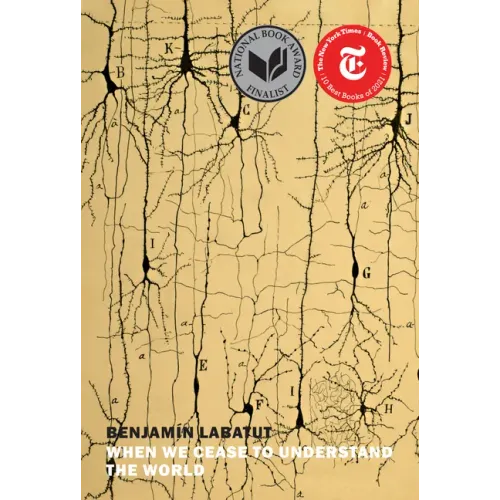 When We Cease to Understand the World - Paperback