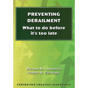 Preventing Derailment: What to do before it's too late - Paperback