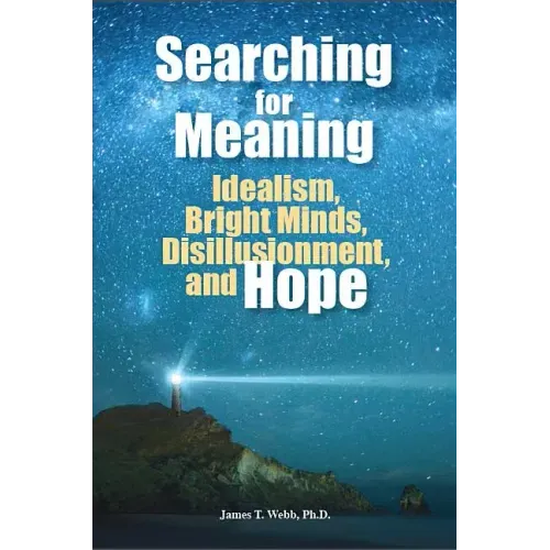 Searching for Meaning: Idealism, Bright Minds, Disillusionment, and Hope - Paperback