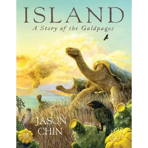Island - Paperback