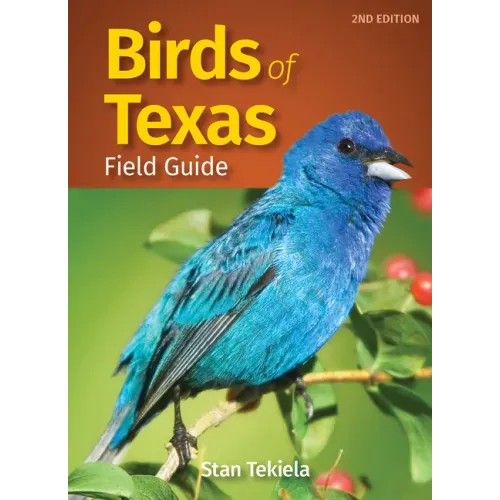 Birds of Texas Field Guide - Paperback