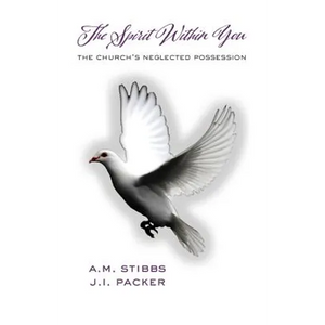 The Spirit Within You: The Church's Neglected Possession - Paperback