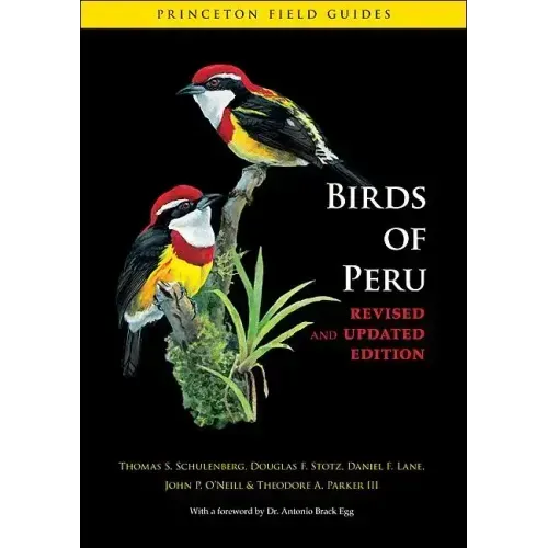 Birds of Peru - Paperback