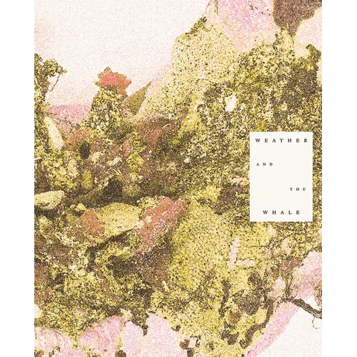 Weather and the Whale - Paperback