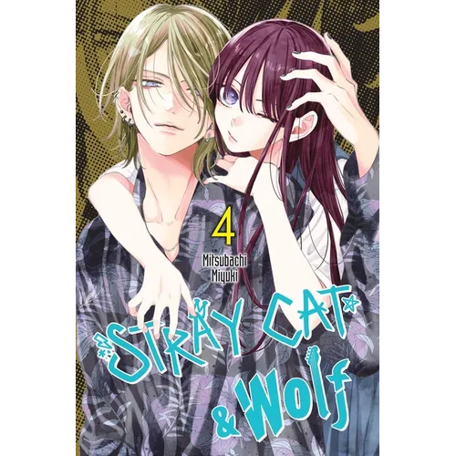 Stray Cat & Wolf, Vol. 4: Volume 4 - Paperback