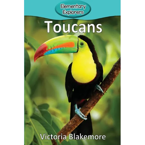 Toucans - Paperback