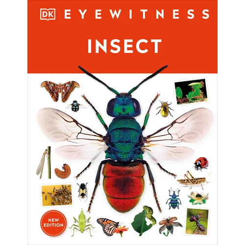 Eyewitness Insect - Hardcover