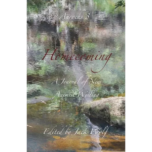 Homecoming 3: Time - Paperback
