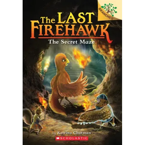 The Secret Maze: A Branches Book (the Last Firehawk #10): Volume 10 - Paperback