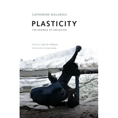 Plasticity: The Promise of Explosion - Paperback