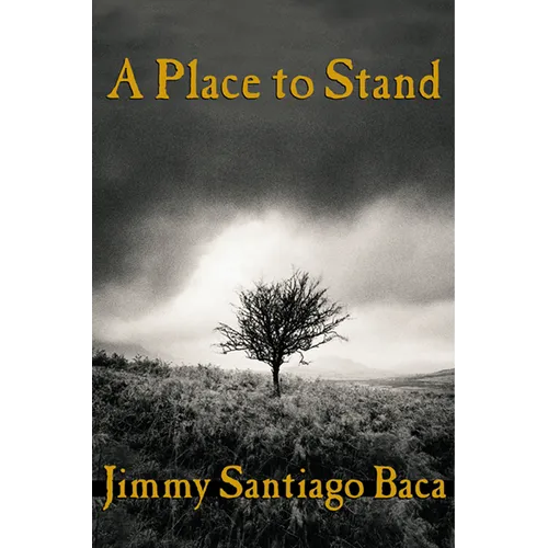 A Place to Stand - Paperback