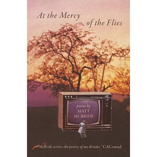 At the Mercy of the Flies - Paperback
