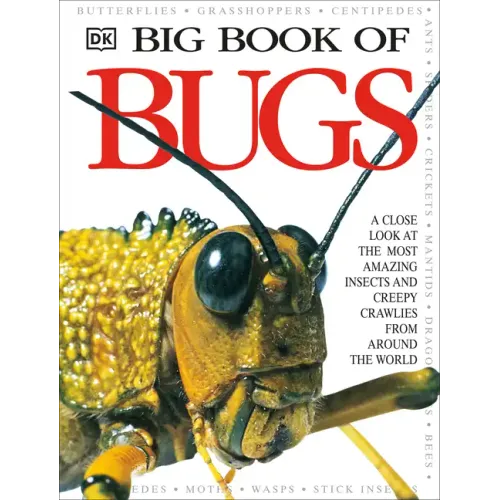 Big Book of Bugs - Hardcover