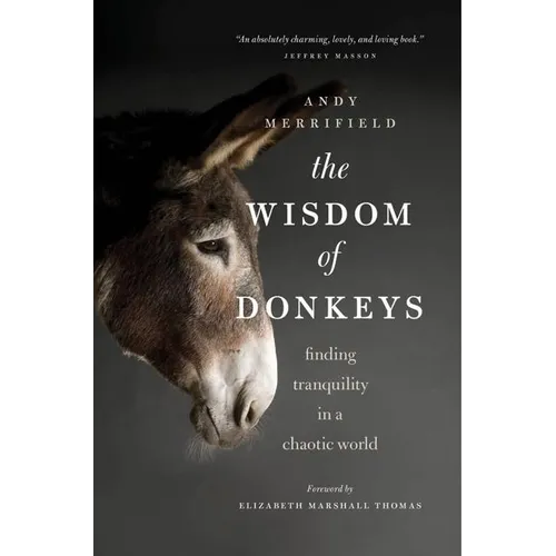 The Wisdom of Donkeys: Finding Tranquility in a Chaotic World - Paperback