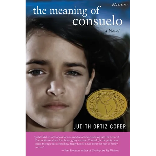 The Meaning of Consuelo - Paperback