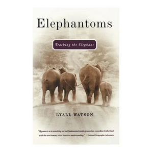 Elephantoms: Tracking the Elephant - Paperback