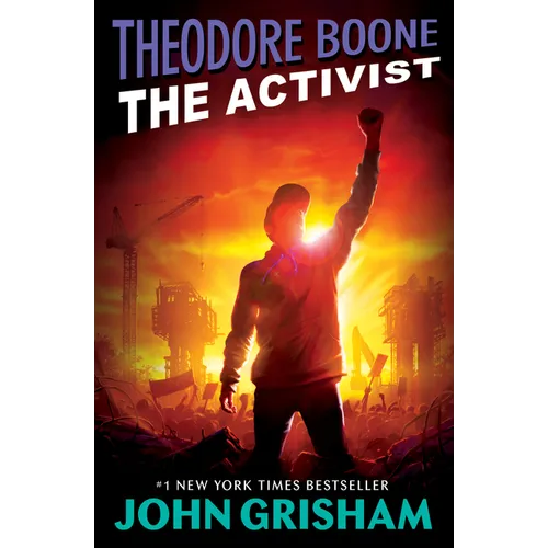 Theodore Boone: The Activist - Paperback