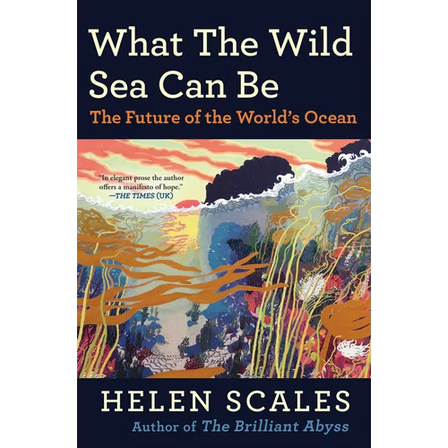 What the Wild Sea Can Be: The Future of the World's Ocean - Paperback
