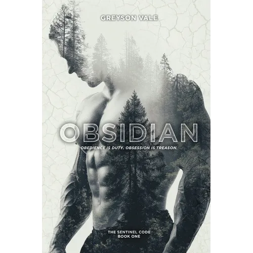 Obsidian: A Dark MM Romance - Paperback