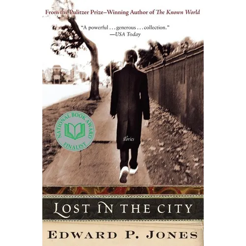 Lost in the City - Paperback