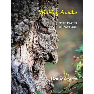 Walking Awake: The Faces in Nature - Paperback