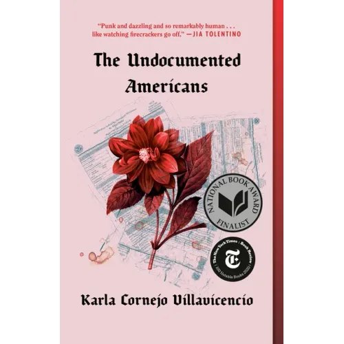 The Undocumented Americans - Paperback